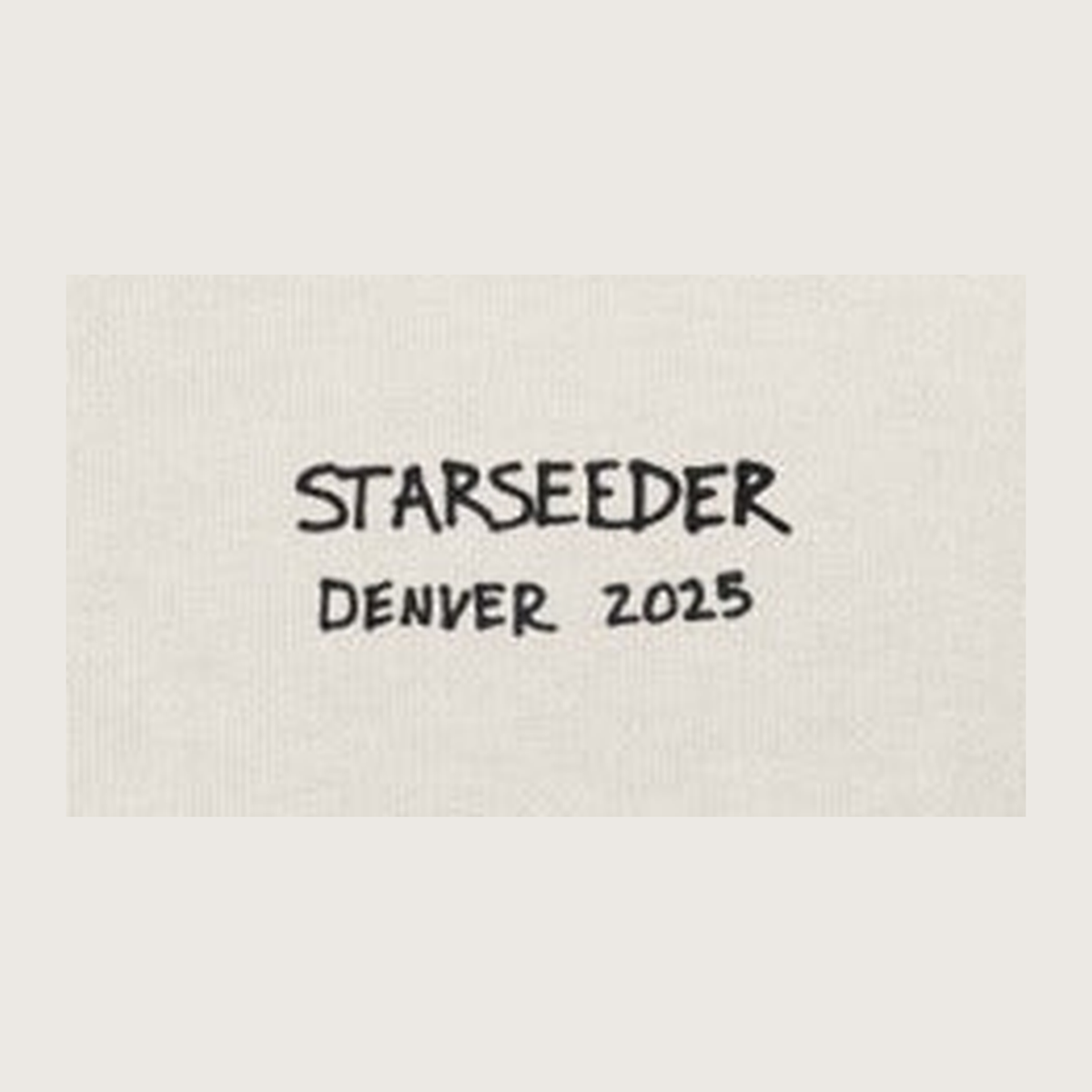 Happy Thanksgiving oversized faded tee close-up: hest text 'STARSEEDER DENVER 2025'