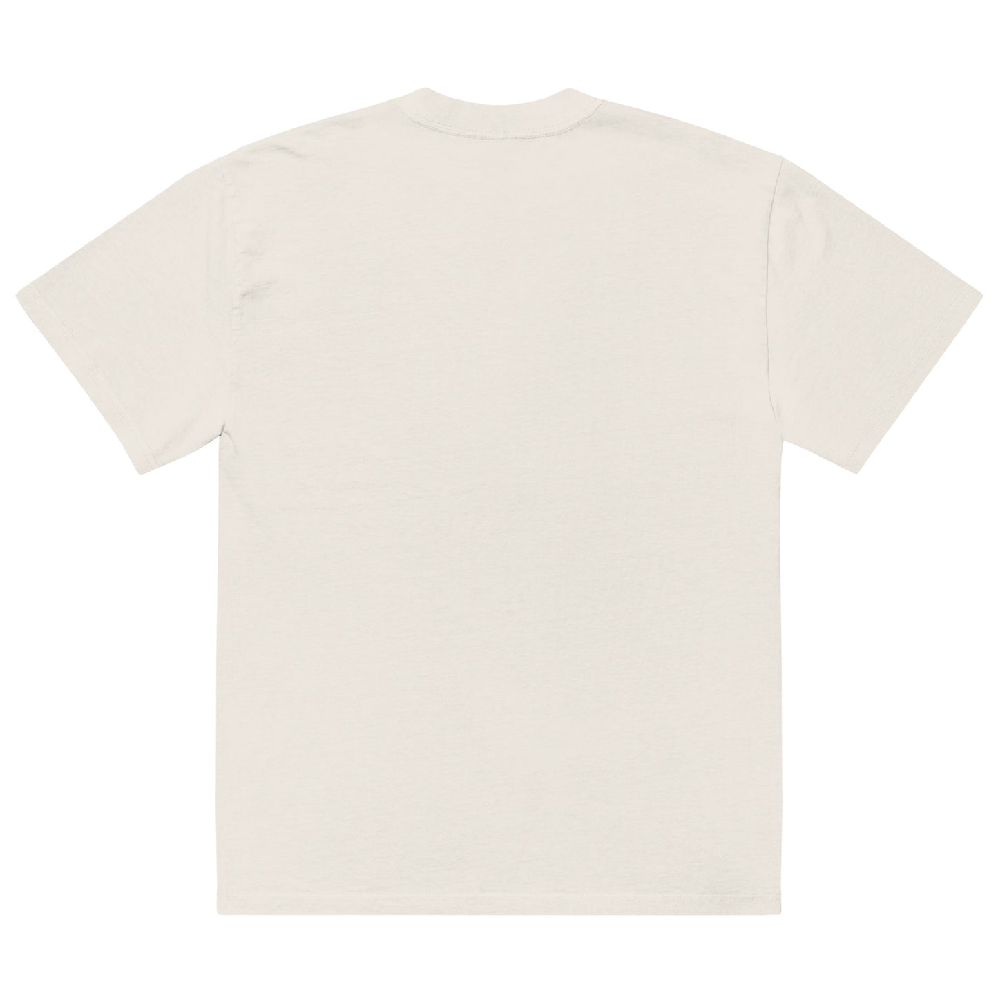 STARSEEDER ORIGINAL | REC - Oversized Faded Organic T-shirt